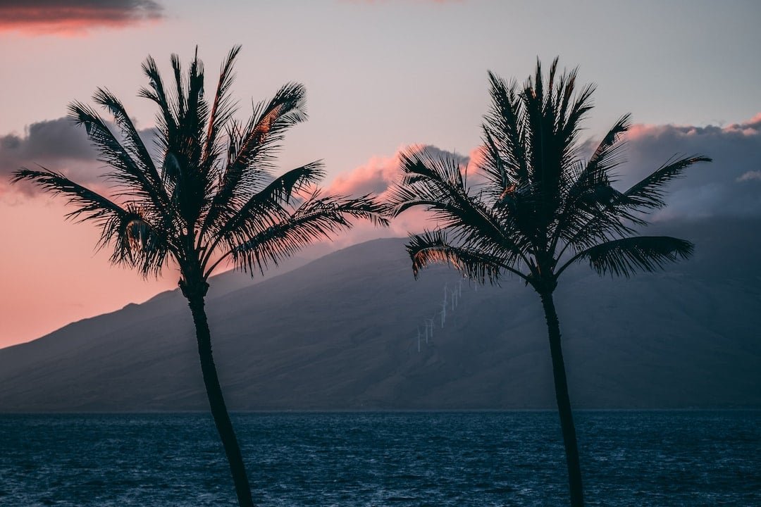 photo-1568687691990-e439bc8938e9